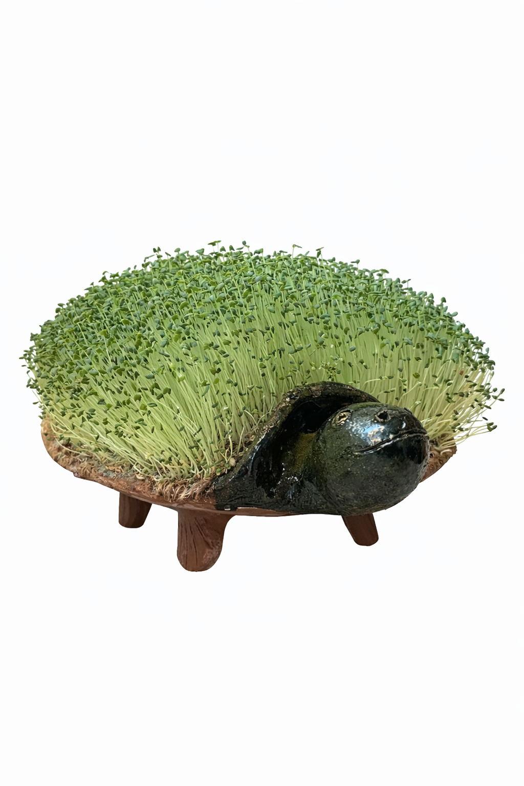 Tortuga de Cerámica hecha con Barro de Oaxaca para germinado de Chía