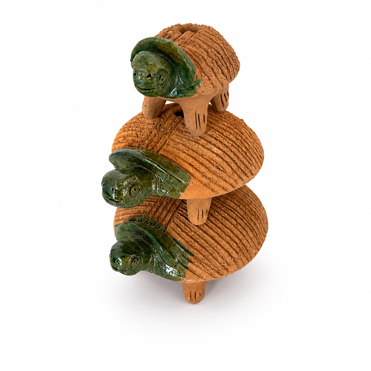 Familia de Tortugas de Barro Mascotas de Chía