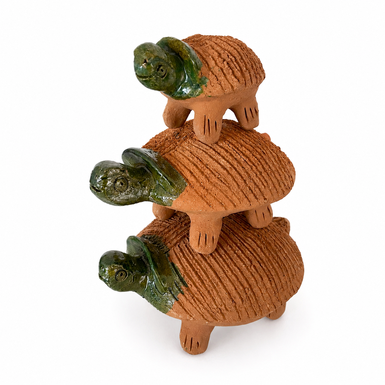 Familia de Tortugas de Barro Mascotas de Chía
