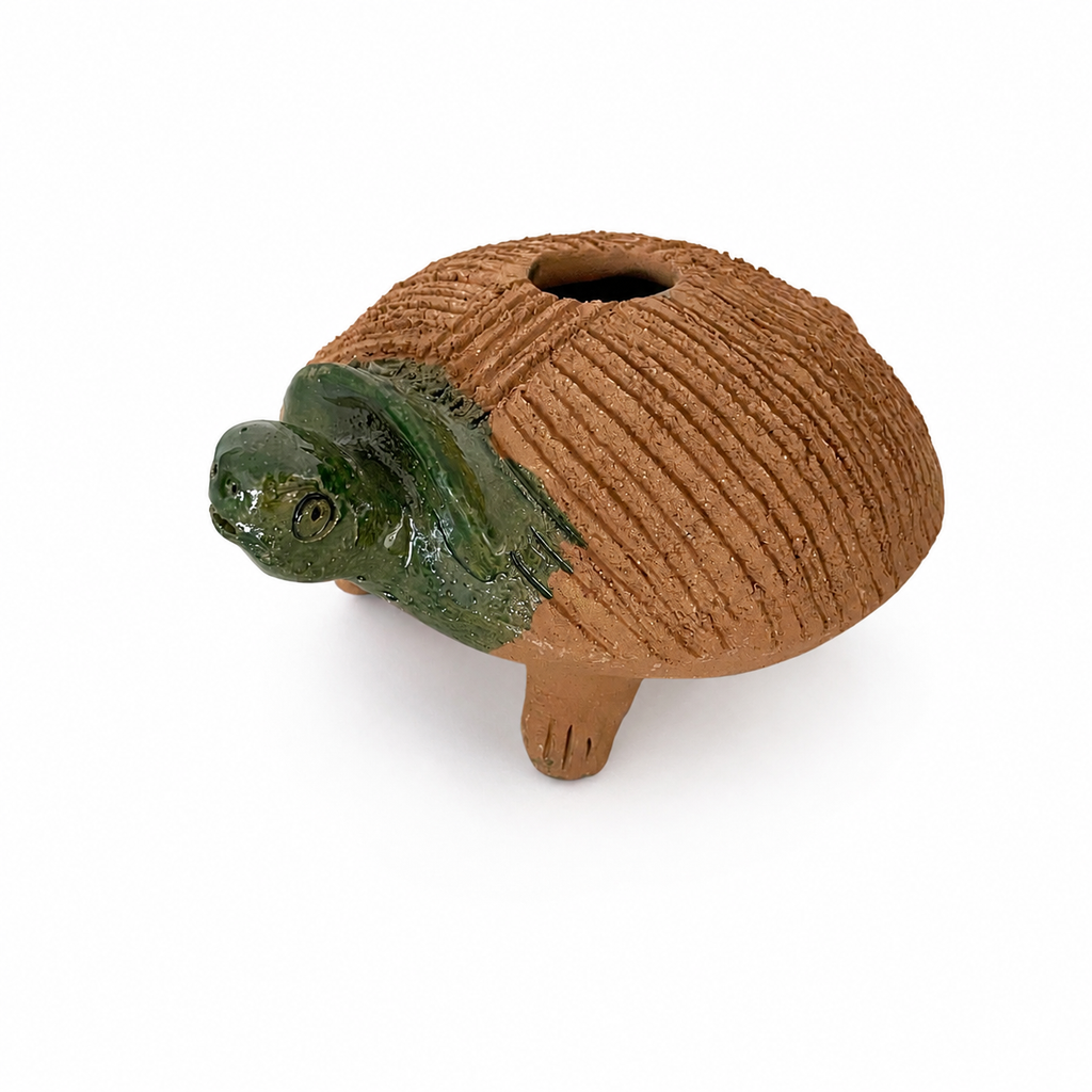 Familia de Tortugas de Barro Mascotas de Chía