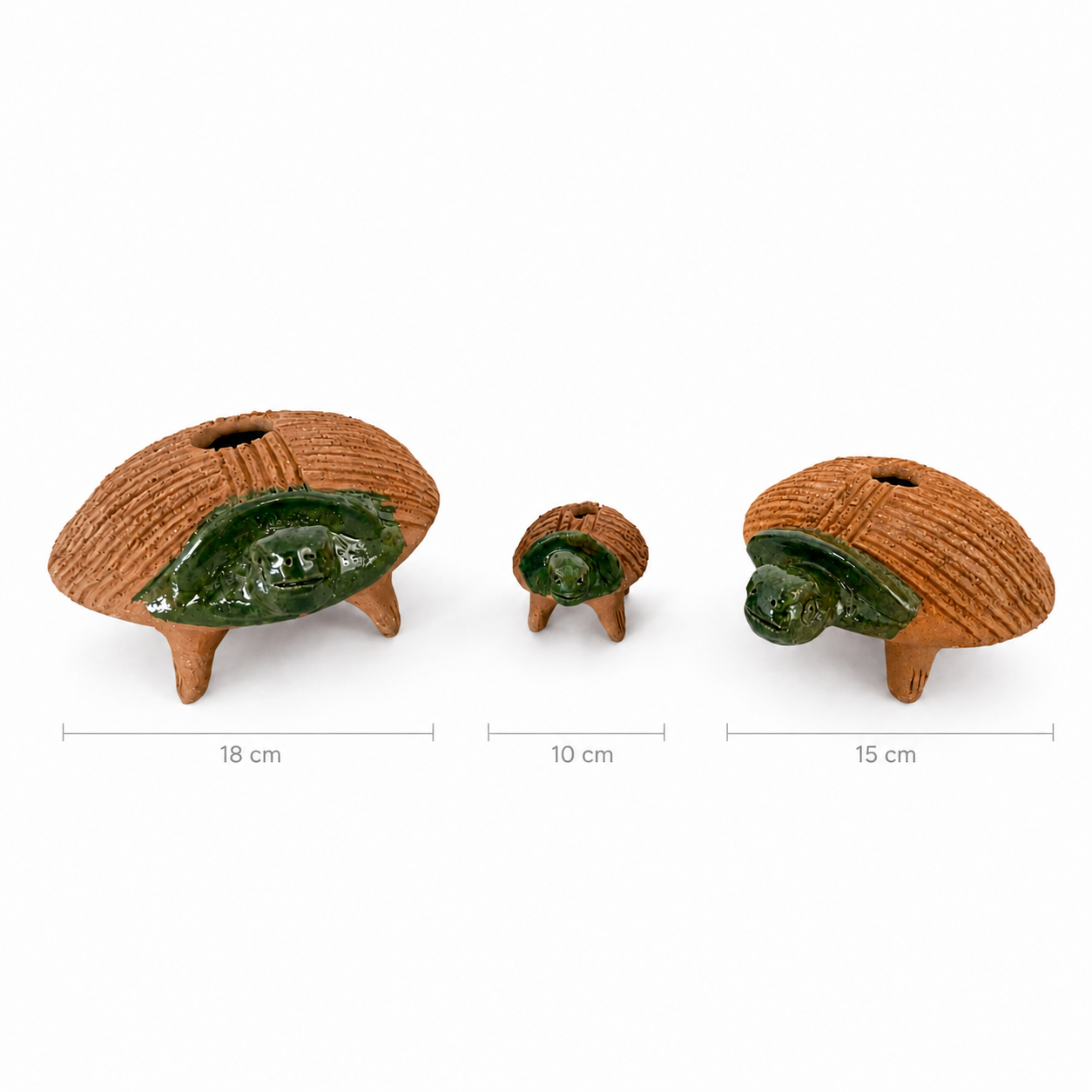 Familia de Tortugas de Barro Mascotas de Chía