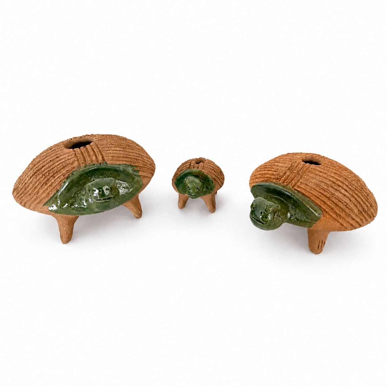 Familia de Tortugas de Barro Mascotas de Chía