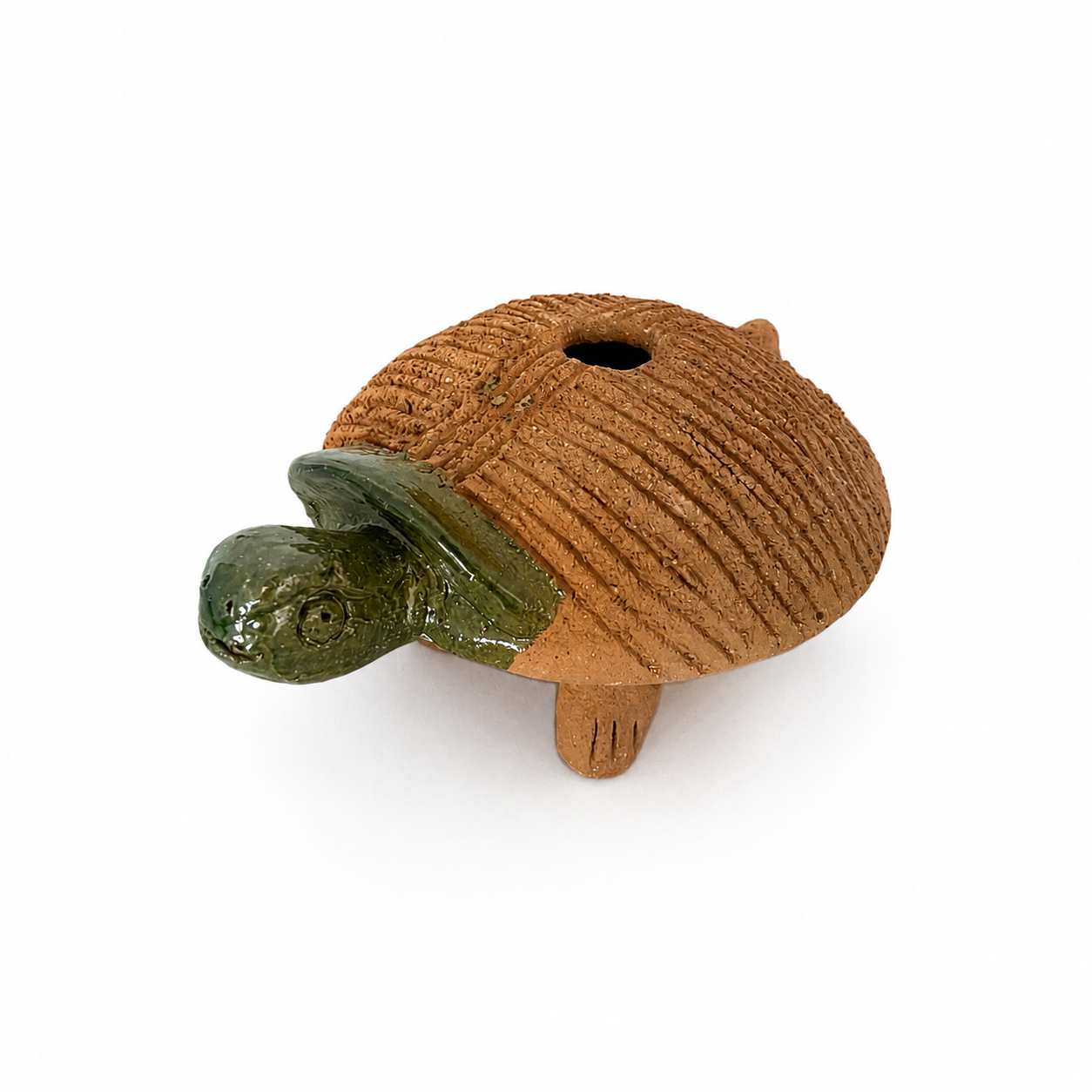 Familia de Tortugas de Barro Mascotas de Chía