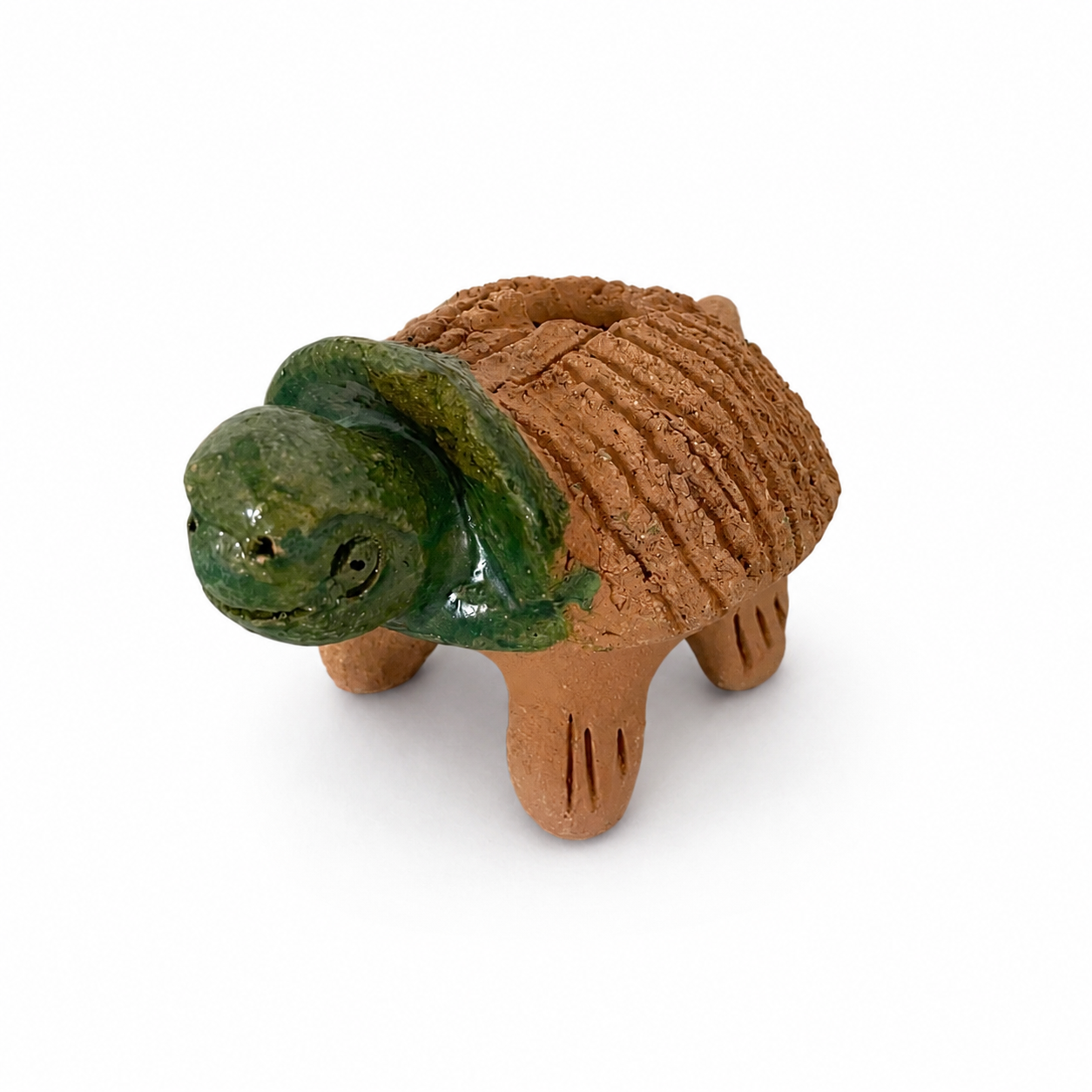 Familia de Tortugas de Barro Mascotas de Chía