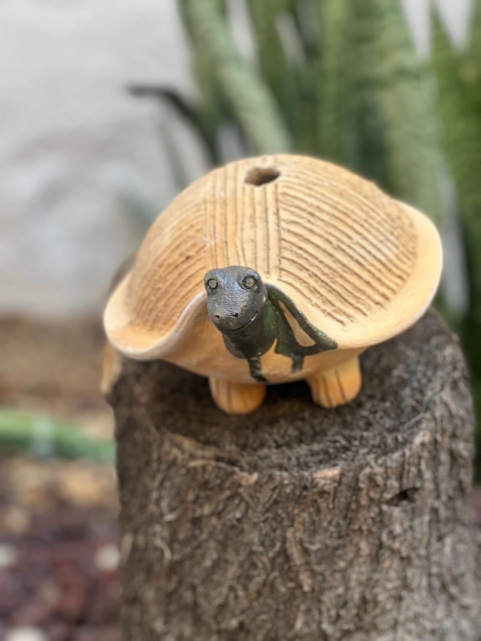 Tortuga de Barro de Oaxaca para germinar semilla de chía