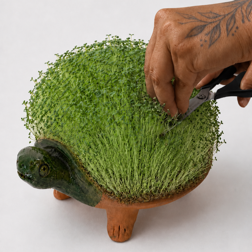Figura de Tortuga hecha de Barro Atzompa / Mascota de Chía