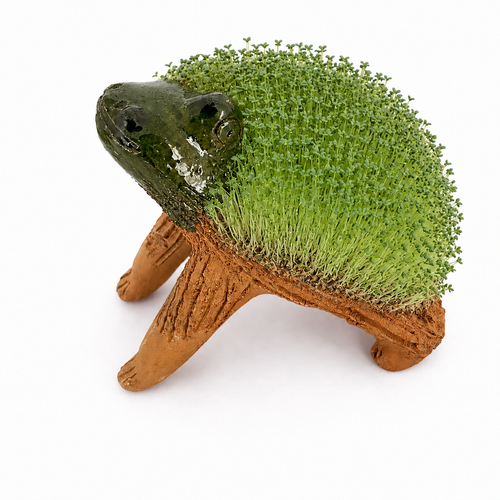 Figura de Rana de Barro Atzompa / Mascota de Chía