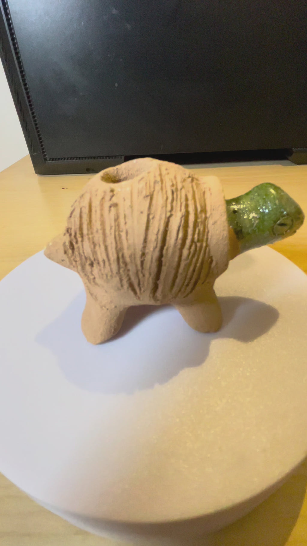 Chía Pet Mini Tortuga de Barro