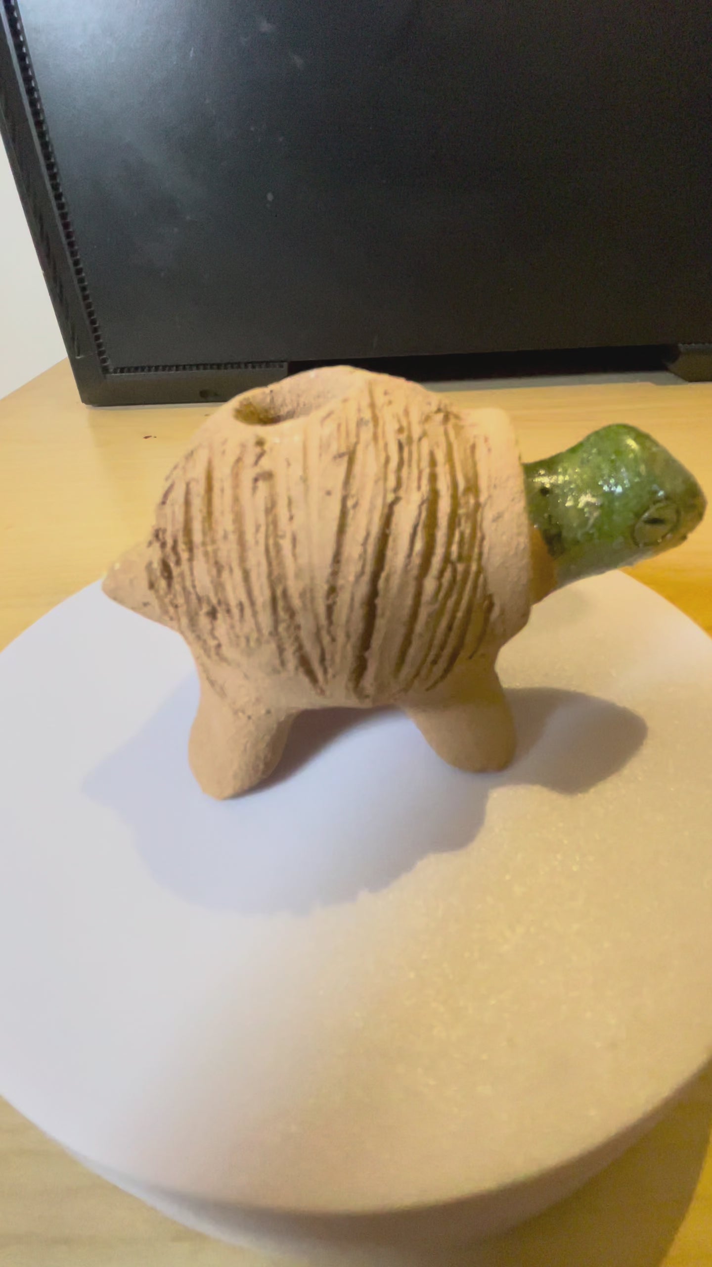 Chía Pet Mini Tortuga de Barro