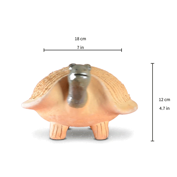 Tortuga de Barro de Oaxaca para germinar semilla de chía